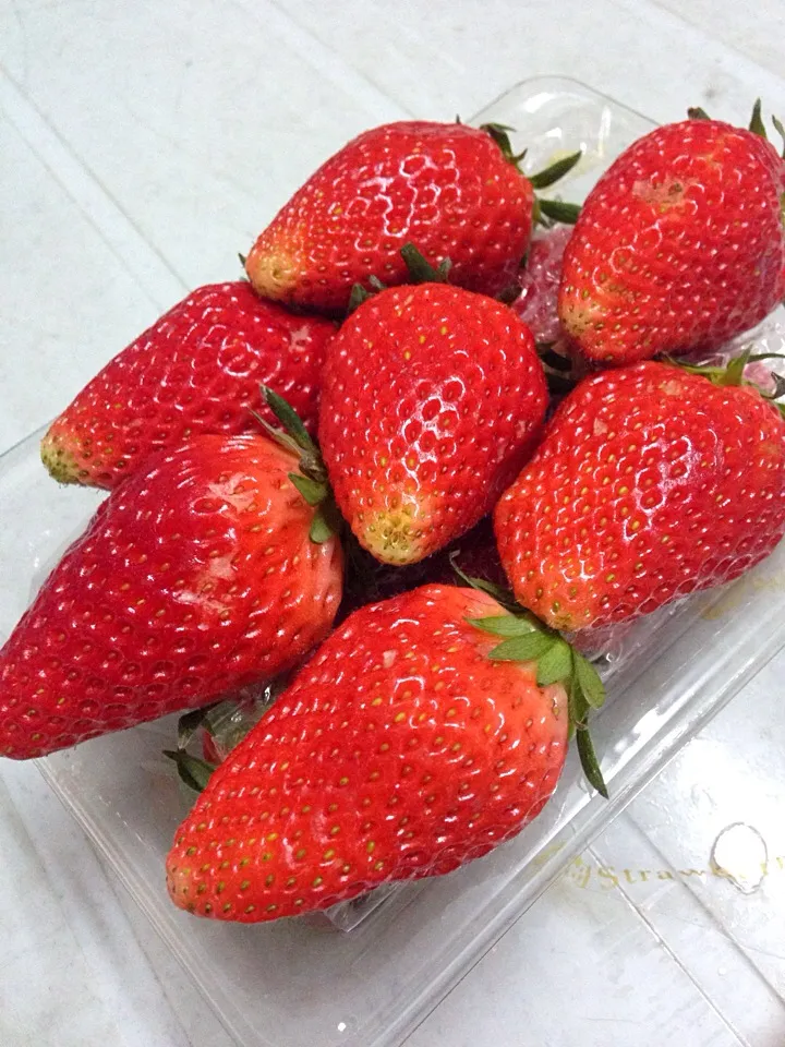 My big big strawberries~😘|TiffanyTeoさん