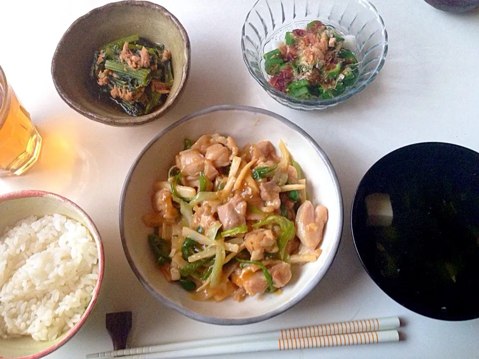 今日の夕ご飯|河野真希さん