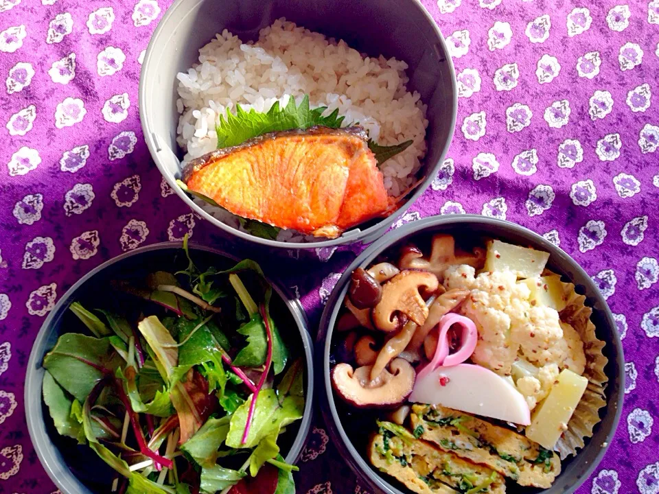 旦那さん用ダイエット弁当♪|REIKoooさん