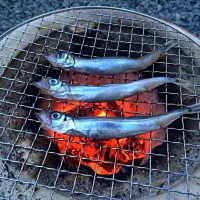 Snapdishの料理写真:|西谷哲さん