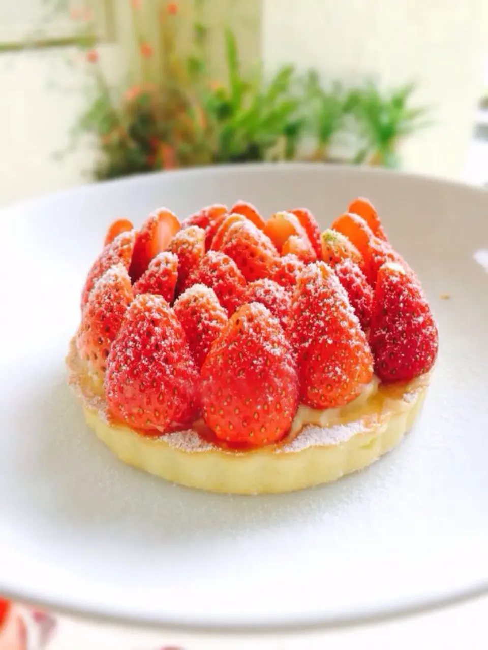 Strawberry tart|willzさん