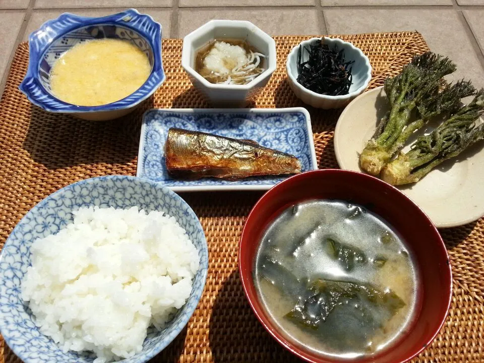 今日のお昼定食風|アヤクラさん