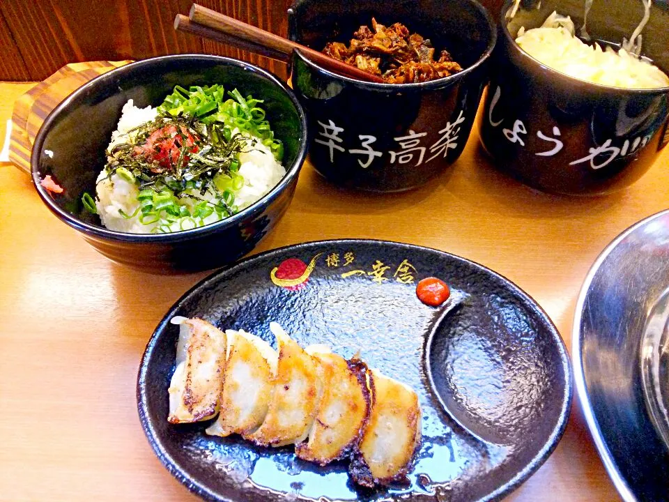 博多・一辛舎の博多セット。
豚骨ラーメンに博多一口餃子と明太子ご飯のセットです。
獣臭プンプンの豚骨スープは、博多に来ないと味わえません。
店長に聞くと、東京にはまだ進出していないとの事。
東京に進出すると、味を薄くして東京の人に合わせてしまうのが残念だと感じていた僕は、博多と京都で頑張る一辛舎が好きになっちゃいました|東京ライオンズさん