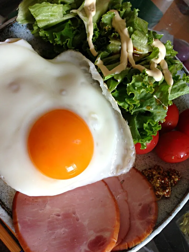 朝ごはん 目玉焼きの下にはご飯|たけのこジョニーさん