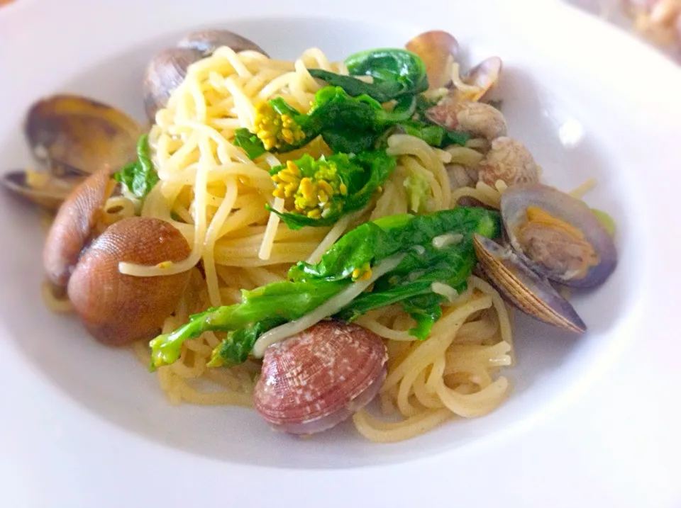 Clam & canola flower pasta|Masakiさん