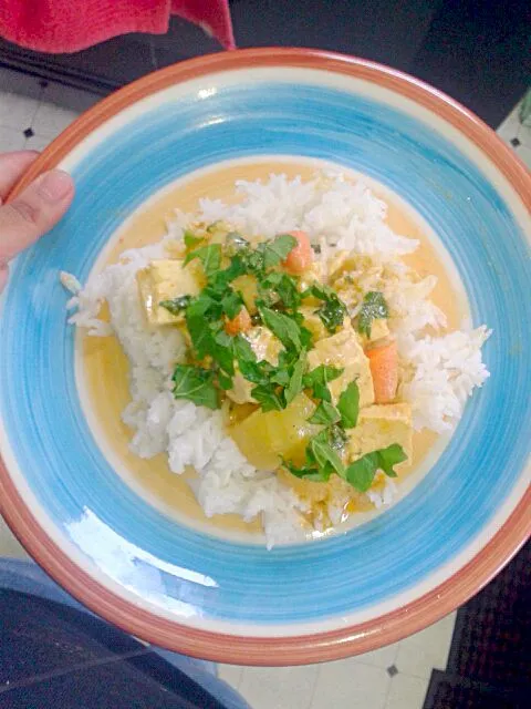 Snapdishの料理写真:Vegetarian tofu curry and rice|Lesley Flowerさん