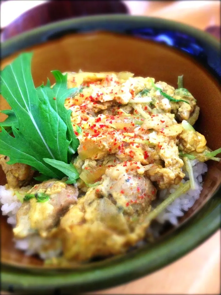 カレー味の親子丼|寺尾真次さん