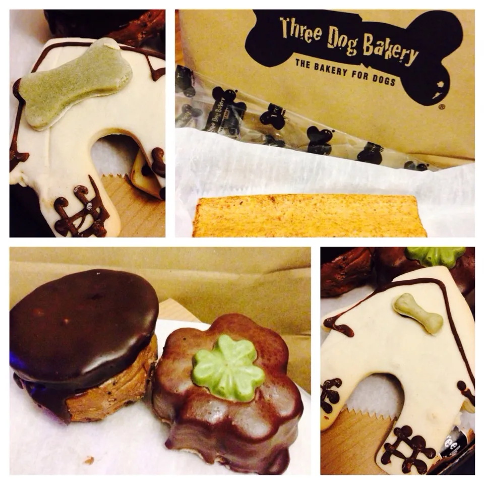 Baby dogs treats :)|Mouse & Mickeyさん