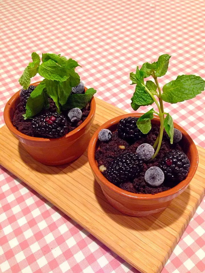 Brownies with vanilla flower pot II|chef baobao from Singaporeさん