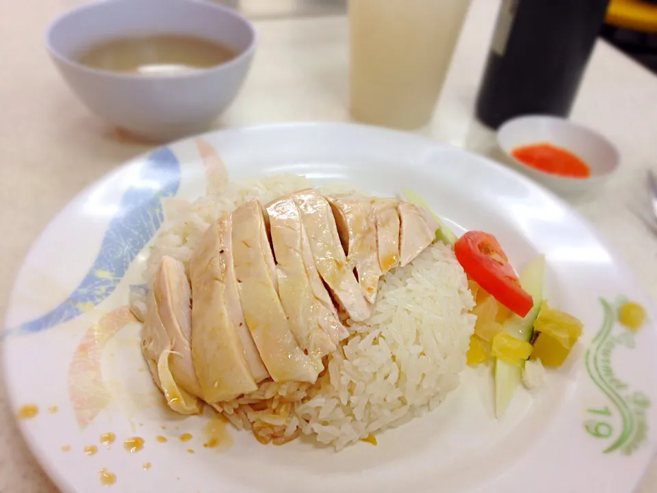 White chicken rice 海南鶏飯|ゆきさん