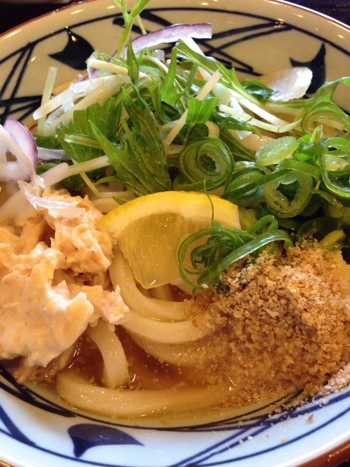 Snapdishの料理写真:塩鶏ぶっかけうどん 丸亀製麺|あっこぷーさん