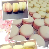 Snapdishの料理写真:strawberry & remon & pistachio macaron|Solbi Choiさん