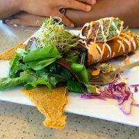 Vegan Burrito and Salad|Lalaさん