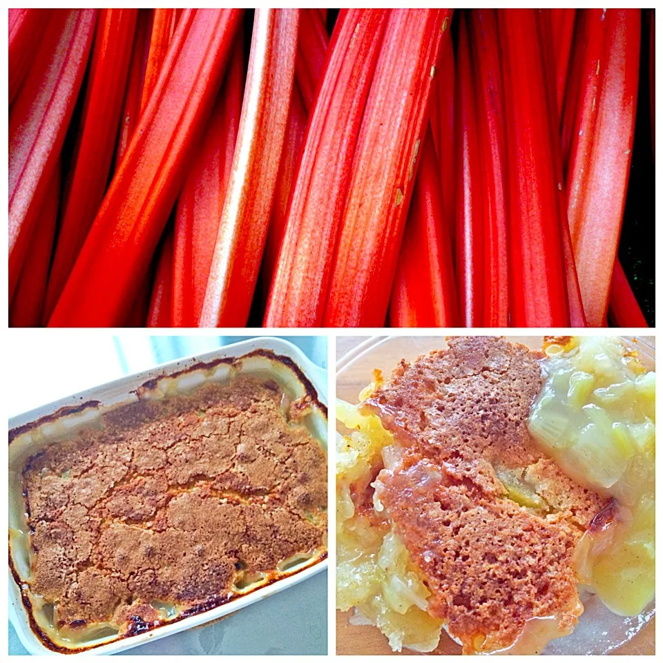 Rhubarb cobbler|Sunny Kitchenさん