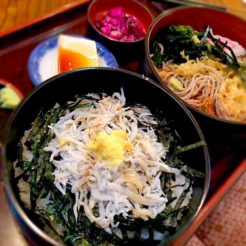 Snapdishの料理写真:しらす丼と冷たい蕎麦|uchikawa hiroshiさん