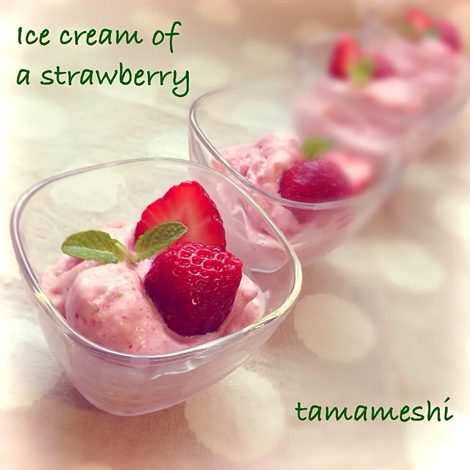 志野さんの＊天然フルーツアイスクリーム  🍓で|tamaさん