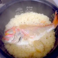 連子鯛で鯛めし！|北川敦さん