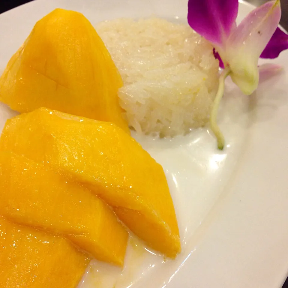 Mango sticky rice|willzさん