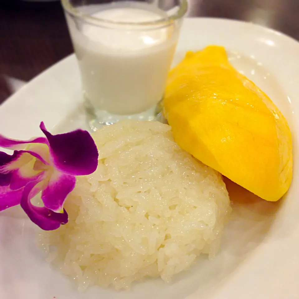 Mango sticky rice|willzさん