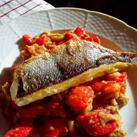 sea bass|Ftačok Vrabčogさん