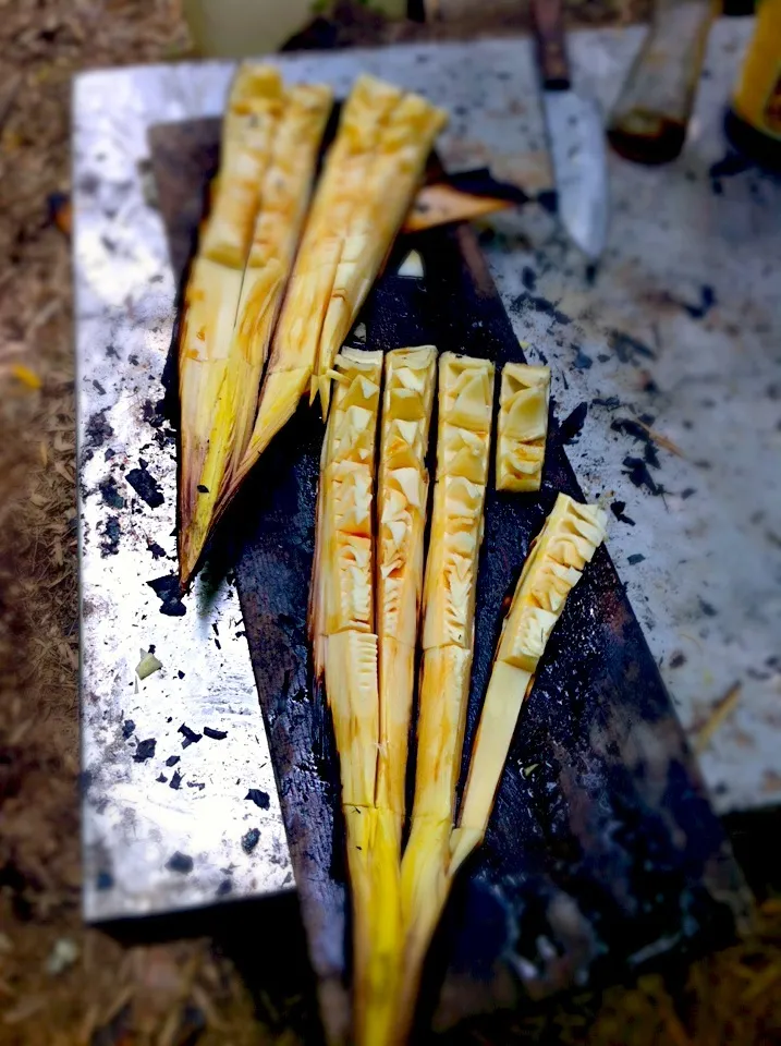 野趣満点焼きタケノコ|yukayamaさん