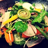 Snapdishの料理写真:Spring Vegetable Salad; Baby Carrot, Radish, Haricot Vert, Fiddleheads|Christopher William Beasleyさん