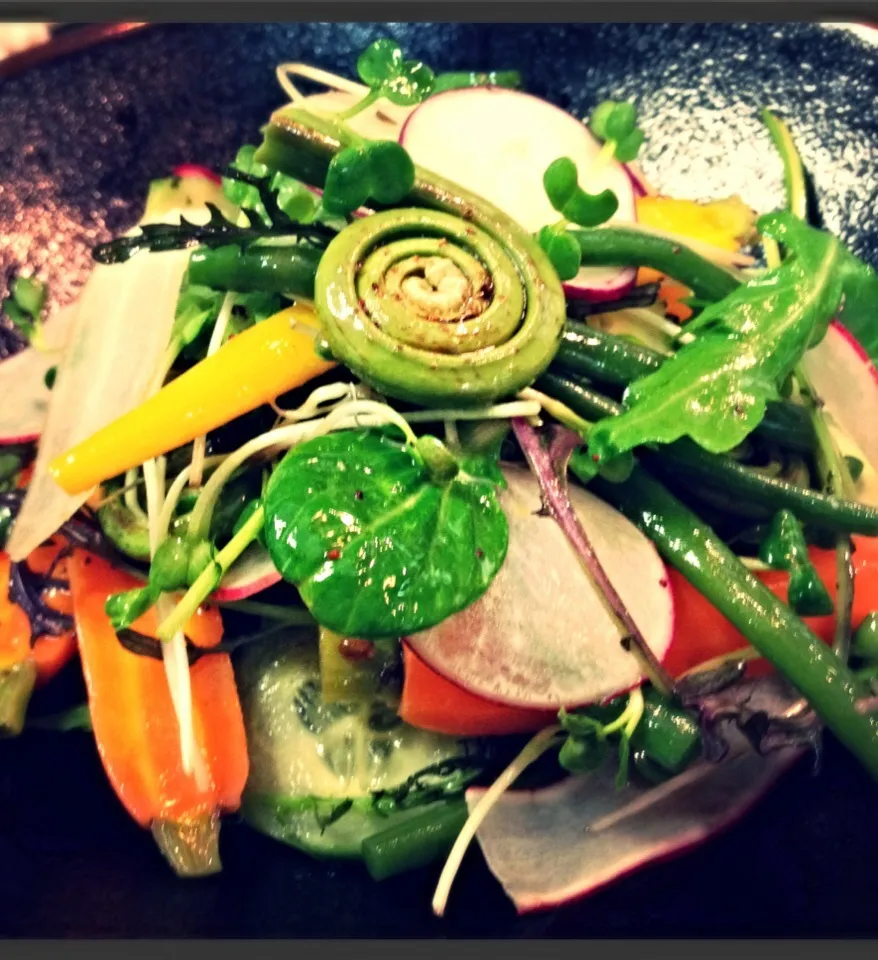 Spring Vegetable Salad; Baby Carrot, Radish, Haricot Vert, Fiddleheads|Christopher William Beasleyさん