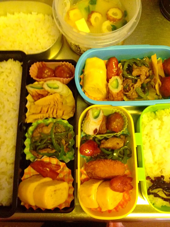 Snapdishの料理写真:遠足予備日お弁当|swme7737さん