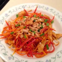 Snapdishの料理写真:Carrot noodles with chicken in a peanut sauce|Martha P.さん