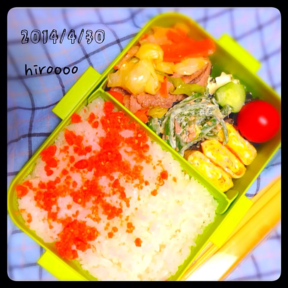 Snapdishの料理写真:お弁当|ひろさん