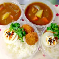 4月30日 新生活のスタートはカレーから。|ふぁんたんさん