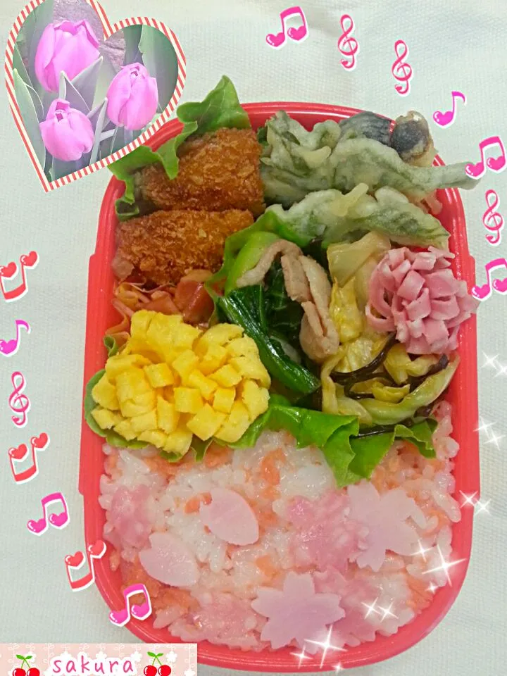 今日は普通のお弁当|桜里さん