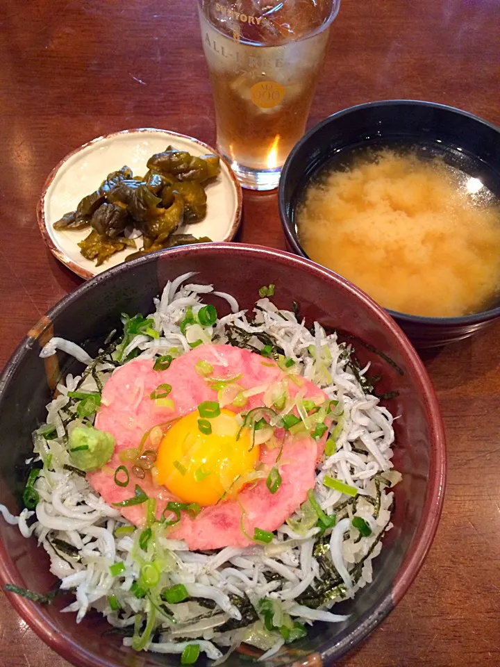 Snapdishの料理写真:ランチは、ネギトロとシラスの２色丼。|Takashi H.さん