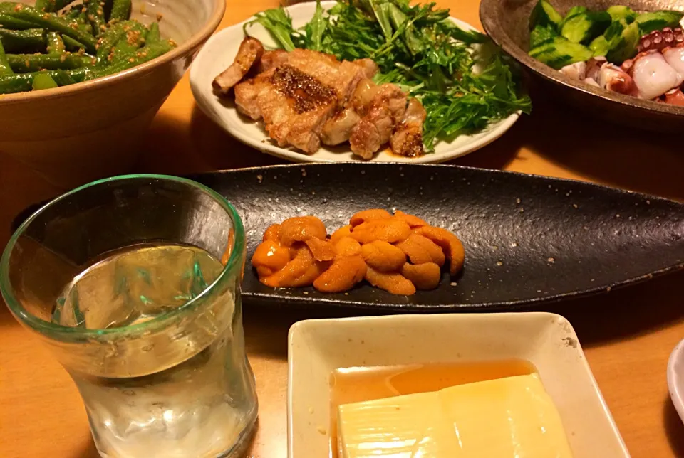 お家でのんびり。|さむらぽっちさん