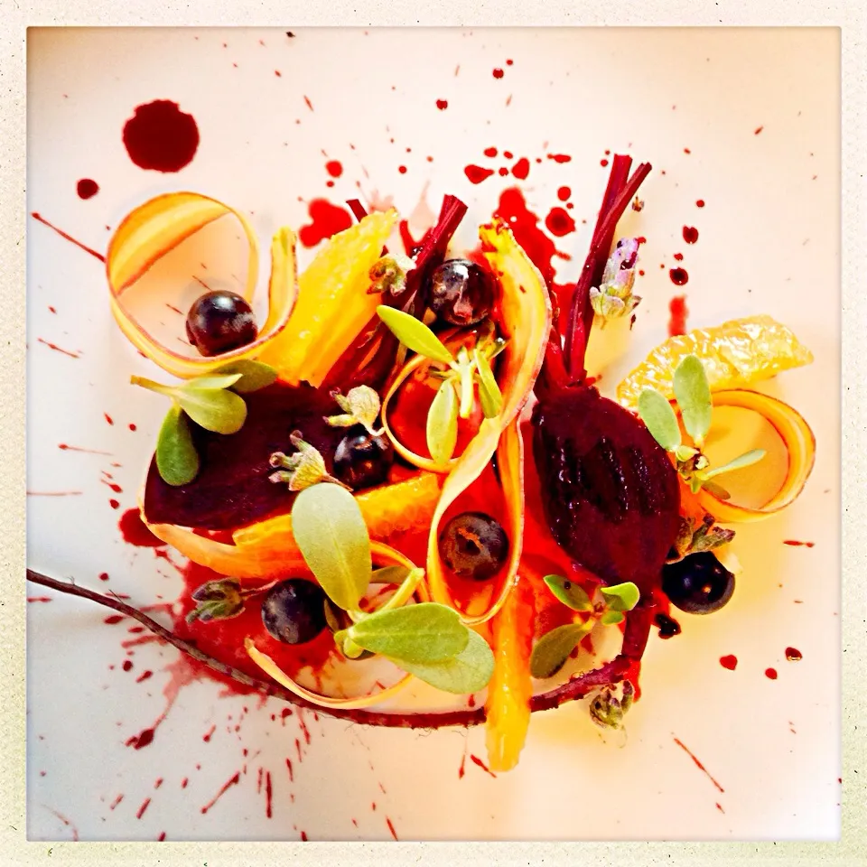 BEET. CARROT. PURSLANE. BLUBERRY SALAD|GREG ARNOLDさん