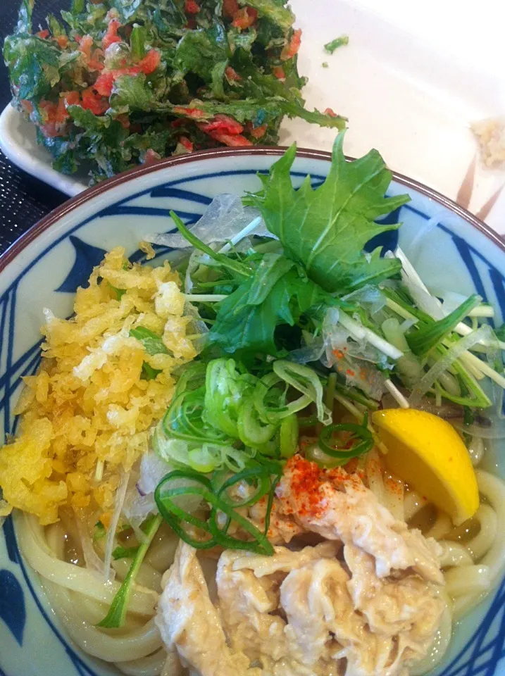 Snapdishの料理写真:鶏塩ぶっかけうどん+桜海老と春菊のかき揚げ@丸亀製麺|Kazuya Miyukiさん