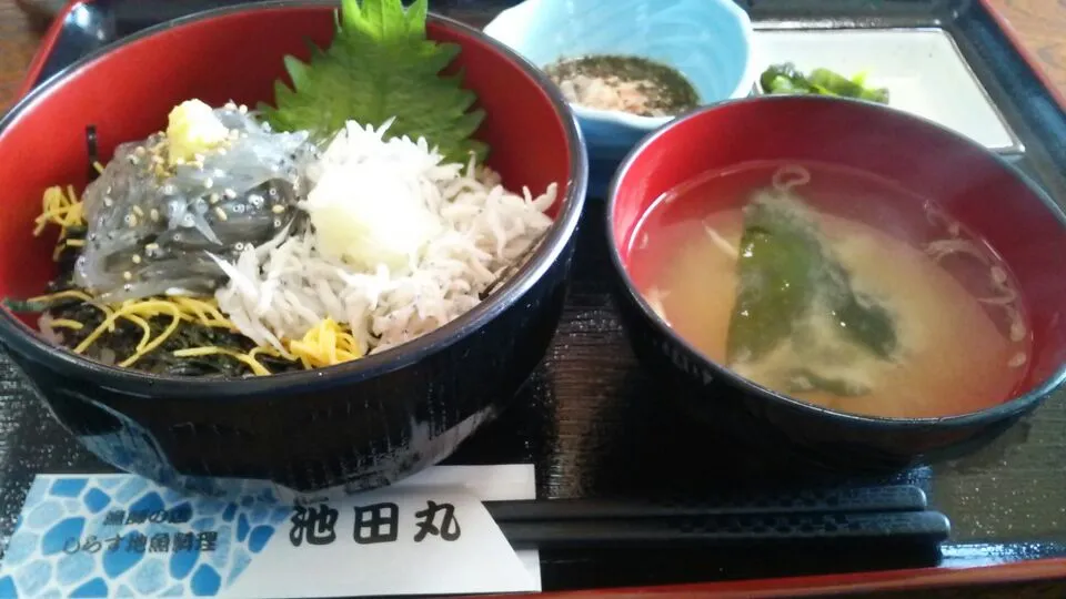 腰越の池田丸にて、しらす二色丼♪|ゆっこさん