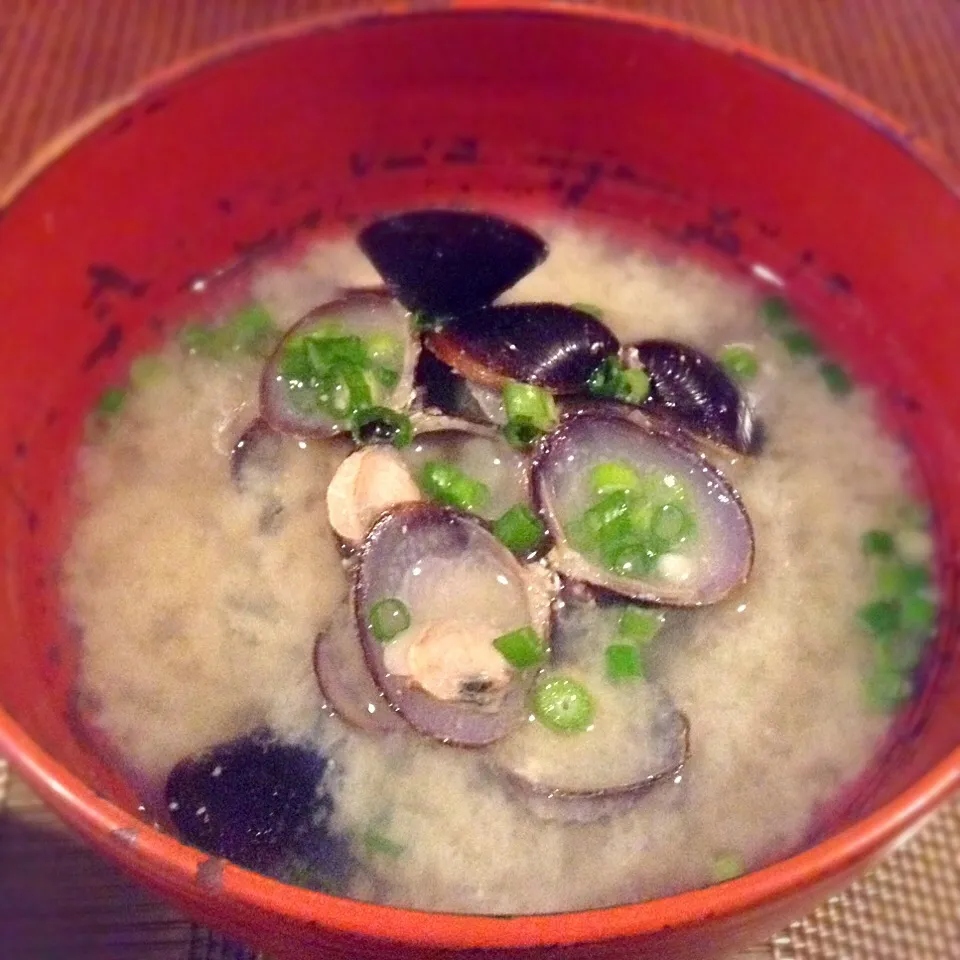 CLaM SoUp..|GeMzKiTchさん