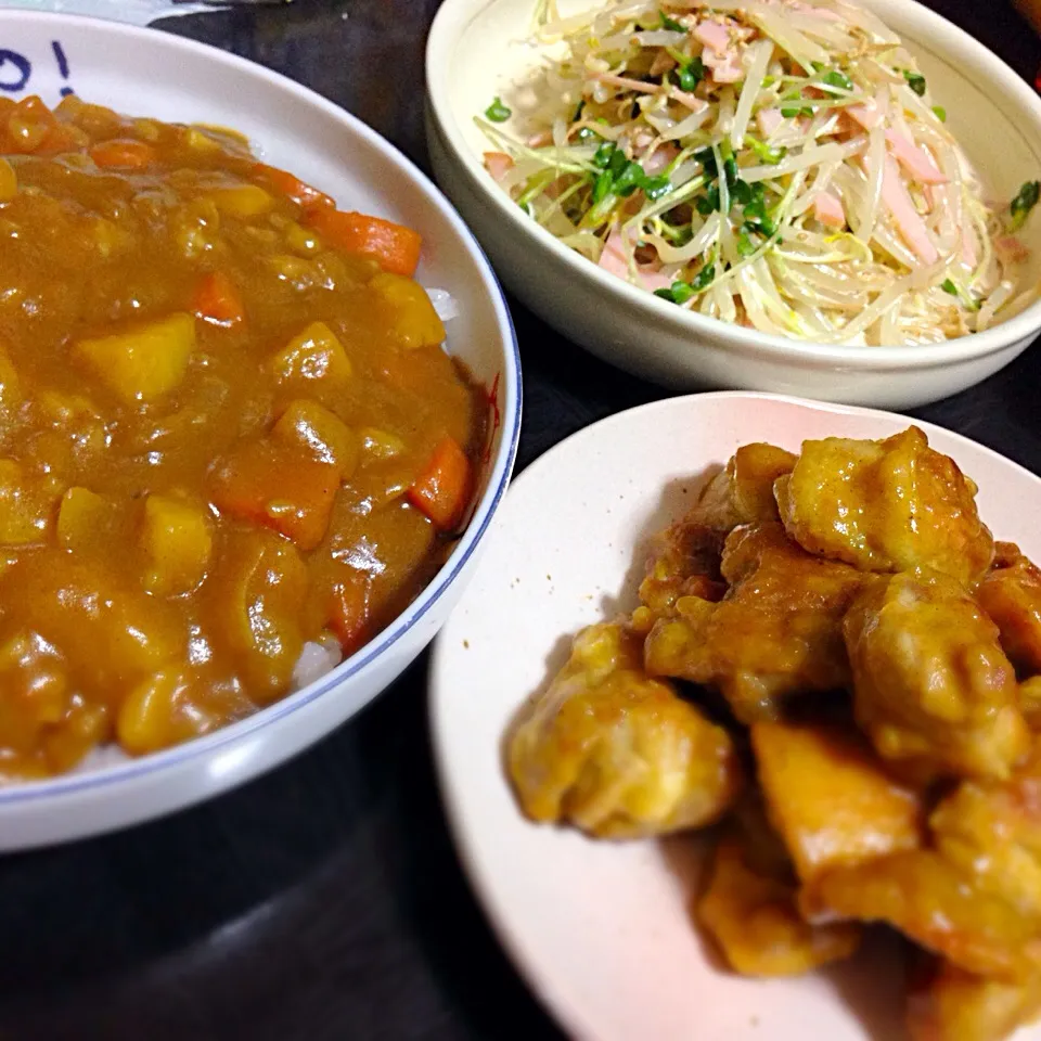 Snapdishの料理写真:今日の晩ご飯は、タンドリーチキンのカレー、もやしサラダ。|ゆえさん