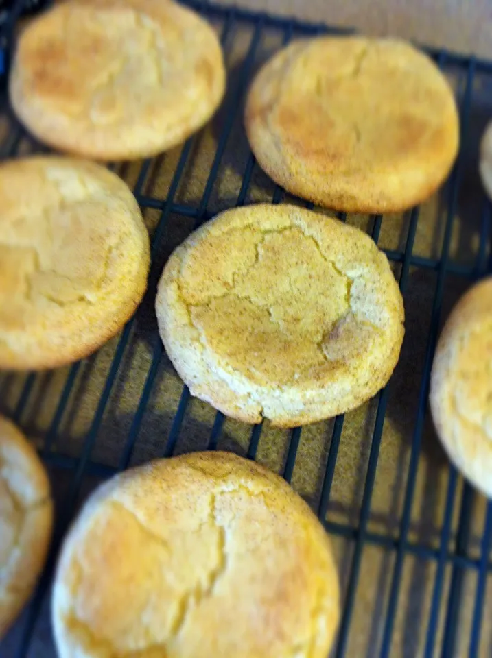Snickerdoodle Cookies|Jen Hembreeさん