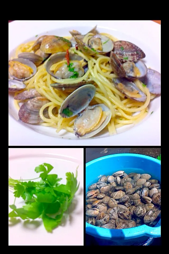 Snapdishの料理写真:Vongole in bianco|Masakiさん