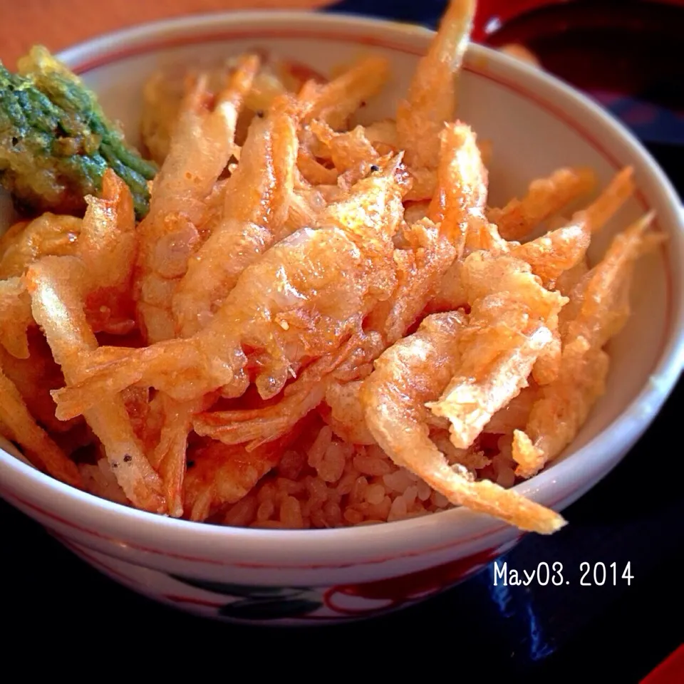 白えび天丼|さと⋆さん