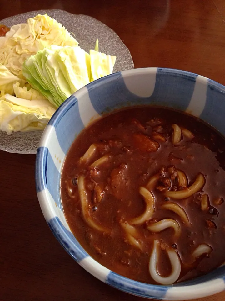 カレーうどん|愛ペガさん