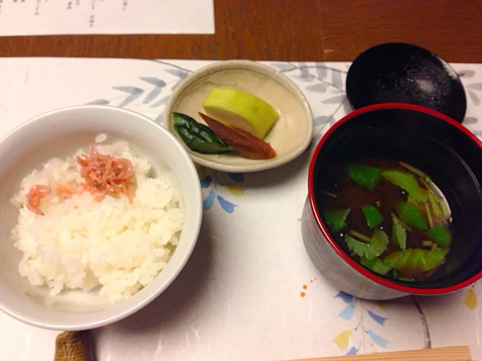 梅しらすご飯、他|あつしさん