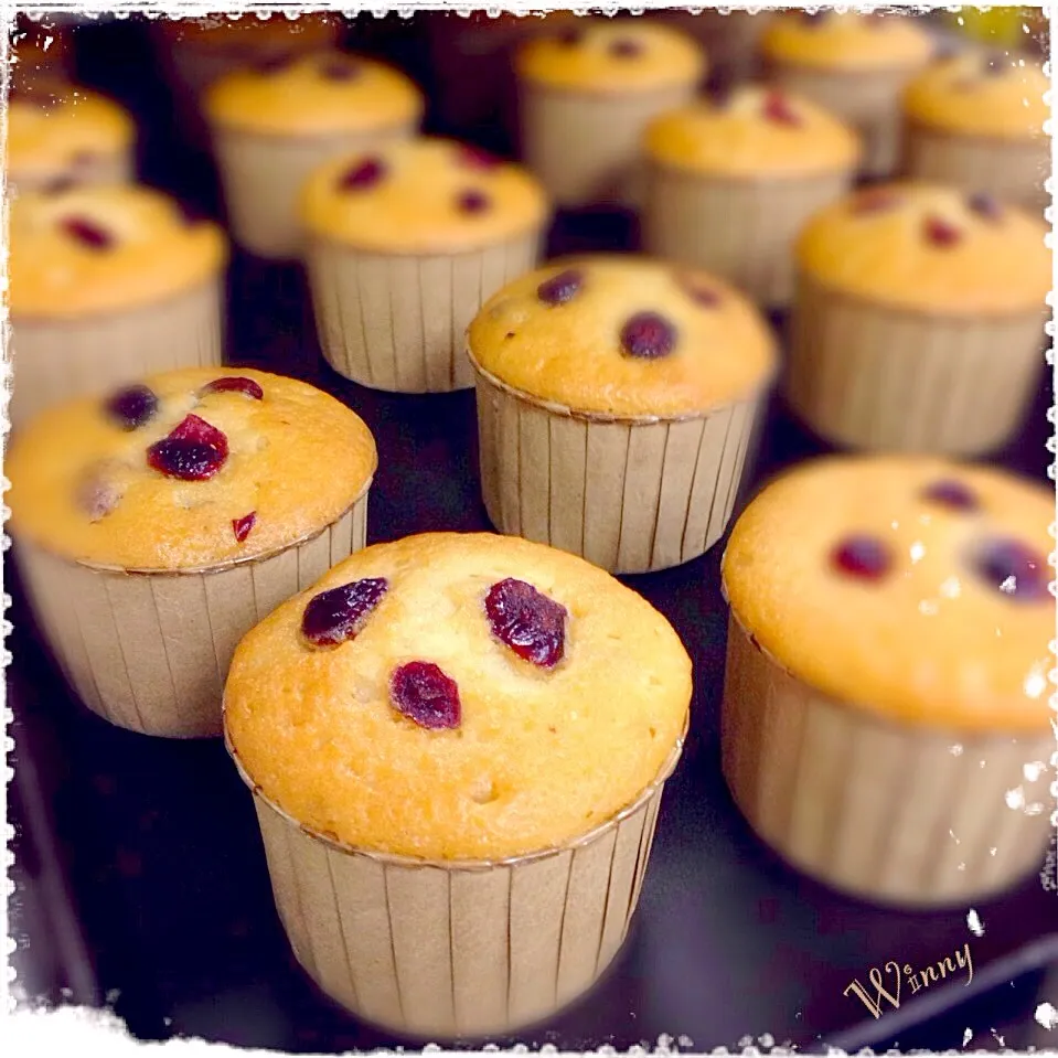 Snapdishの料理写真:Vanilla & Cranberry Miffin|Winny Yauさん