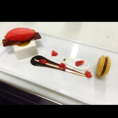 Coconut panna cotta || Raspberry-white wine sorbet || Passionfruit macaron|Arinさん