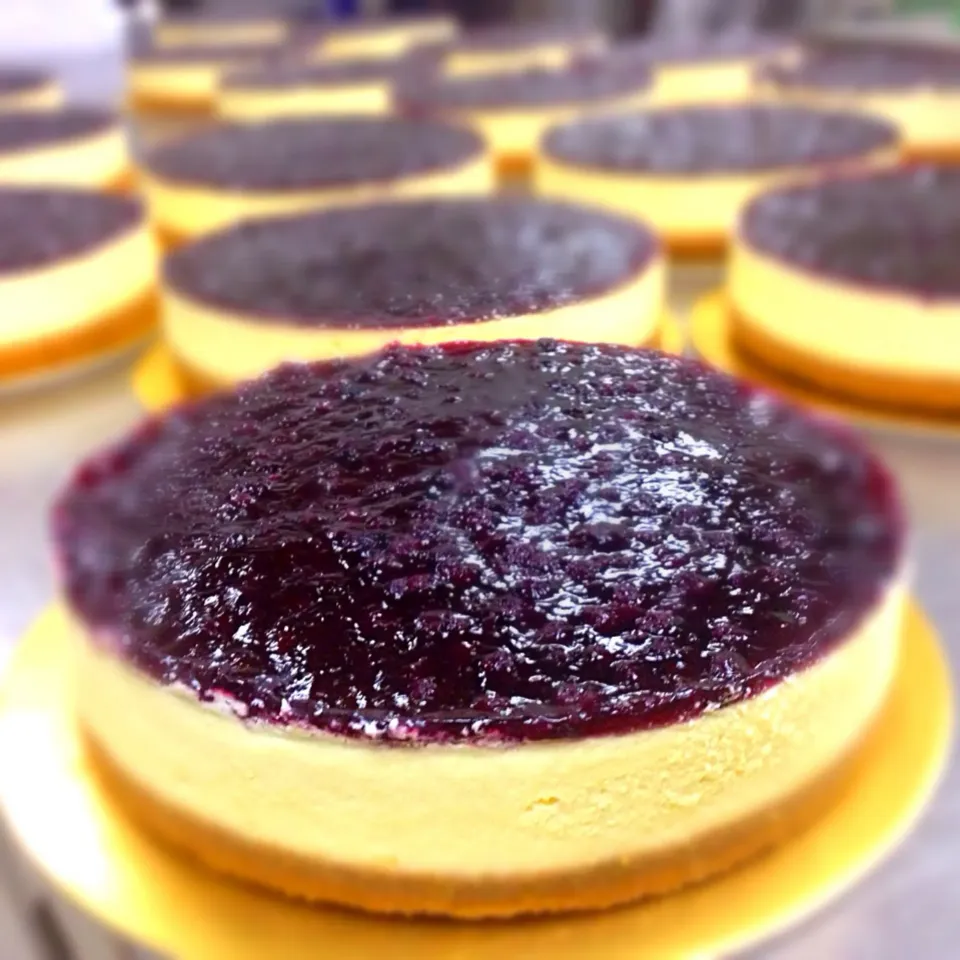 Blueberry Cheese Cake|Winny Yauさん