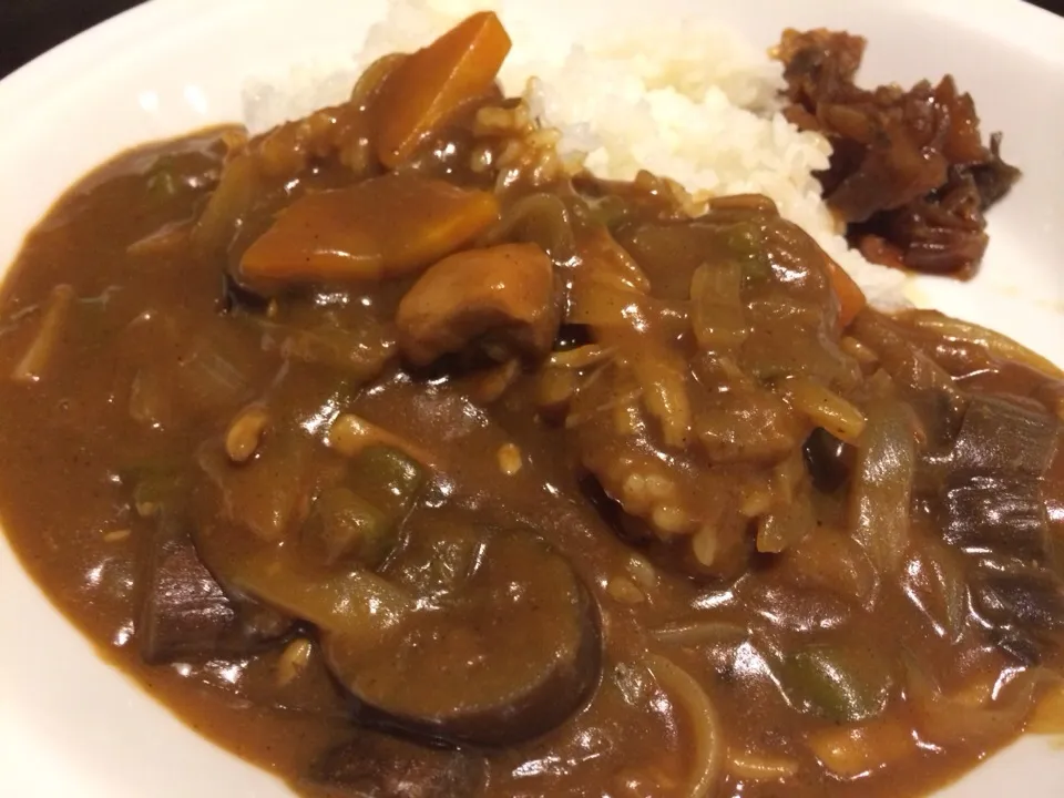 ナスとシメジ、その他野菜室のいろいろカレー|Kayo Sekineさん