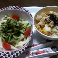 Snapdishの料理写真:胡瓜と大葉、茗荷の冷やしうどん&親子丼|ami  kobayashiさん