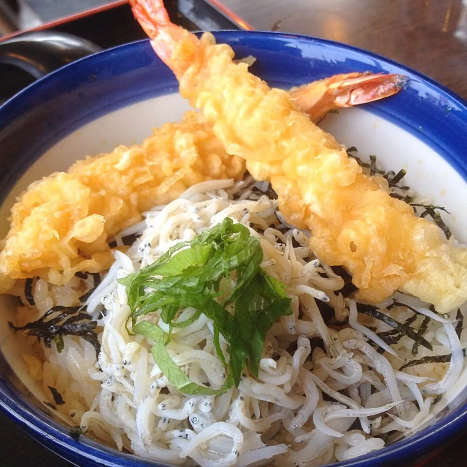 釜揚げしらす天丼✨|梅花権現さん